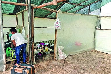 Imagens a que a CMTV teve acesso revelam situação precária em que vivem trabalhadores agrícolas que sazonalmente se deslocam até Odemira para trabalharem na época alta das colheitas