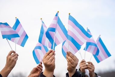 Organizações europeias alertam para ataque a direitos trans e intersexo em Portugal