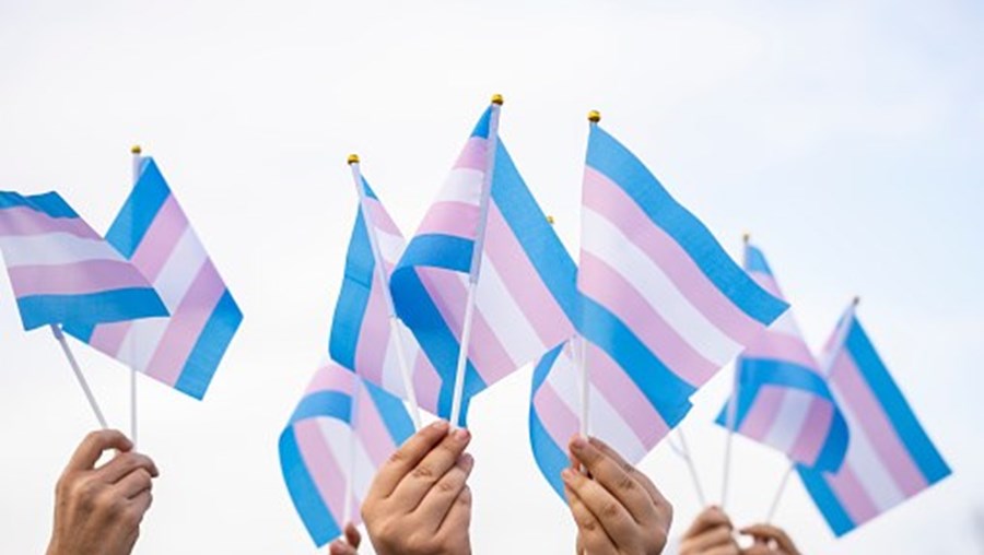 Transgénero, xxx, bandeira transgénero