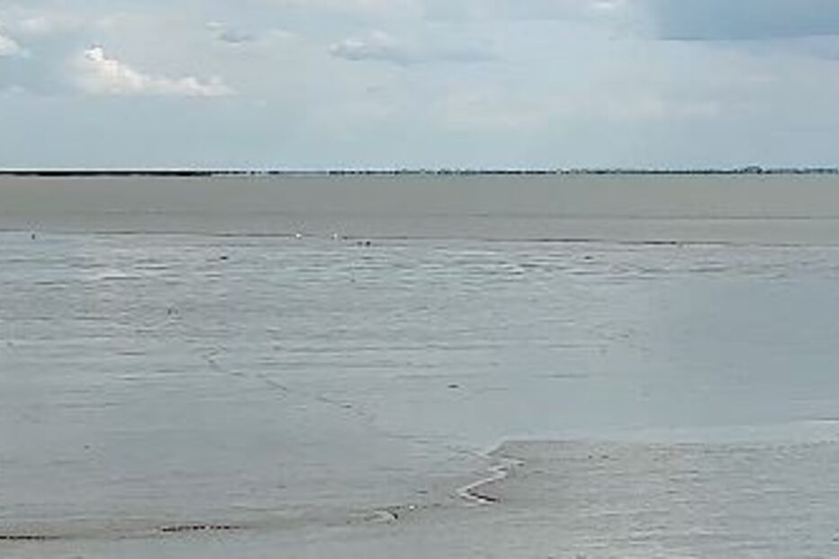 Homem cai ao rio Tejo