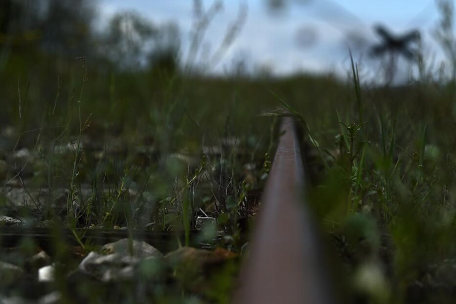 Covilhã e Guarda voltam a estar ligadas pela ferrovia da Beira Baixa