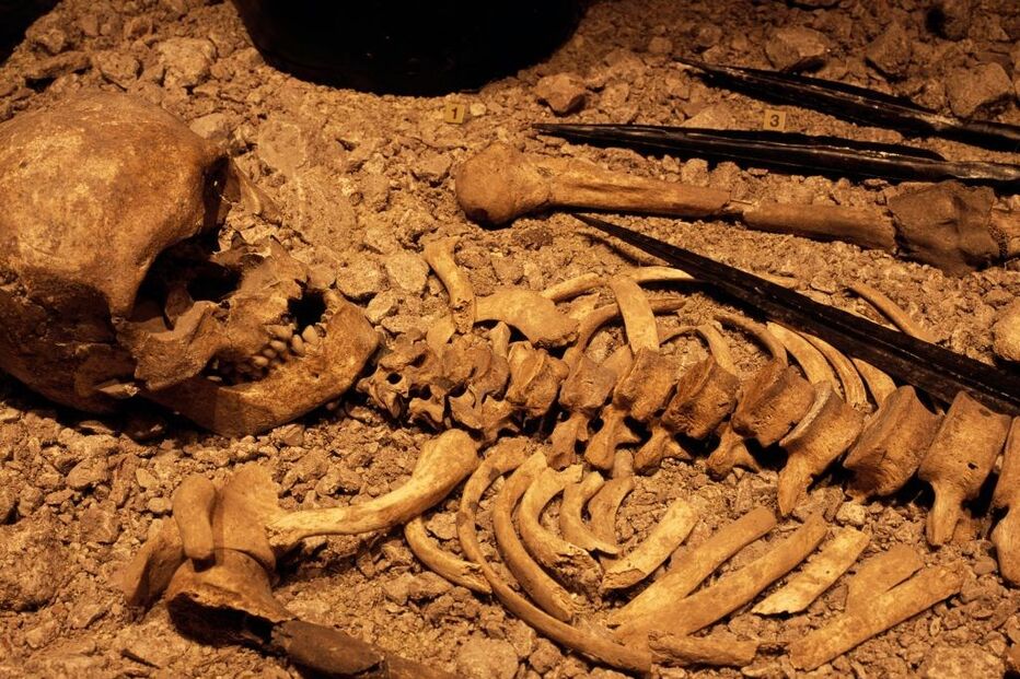 Esqueleto, vestígios, descoberta
