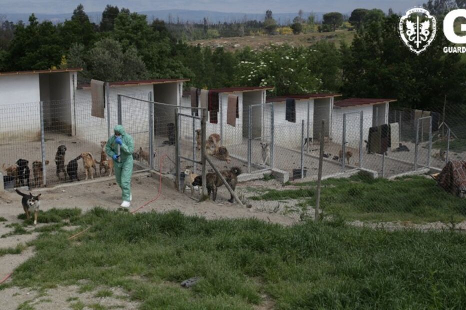 2021-05-07_15_49_04 GNR Guarda - Resgate2.jpg