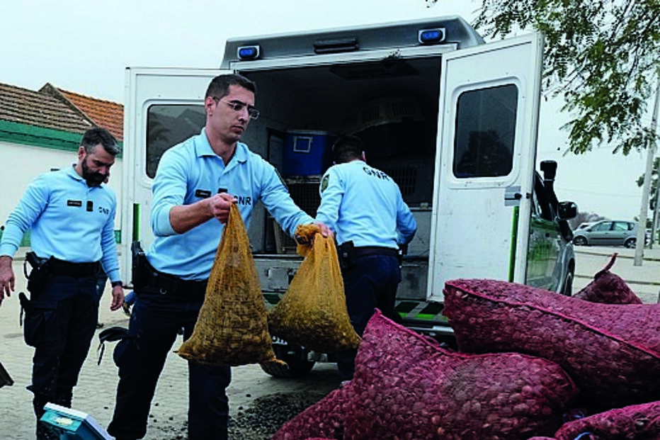 GNR tem realizado operações