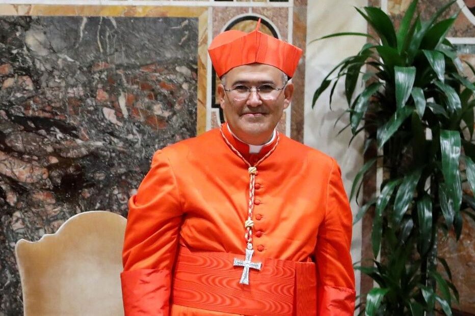 D. Tolentino fotografado pelo CM no Palácio Apostólico, após a cerimónia