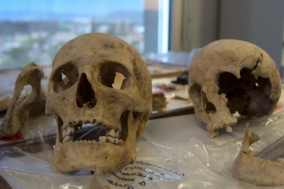 Ossos de Colombo vão ser analisados