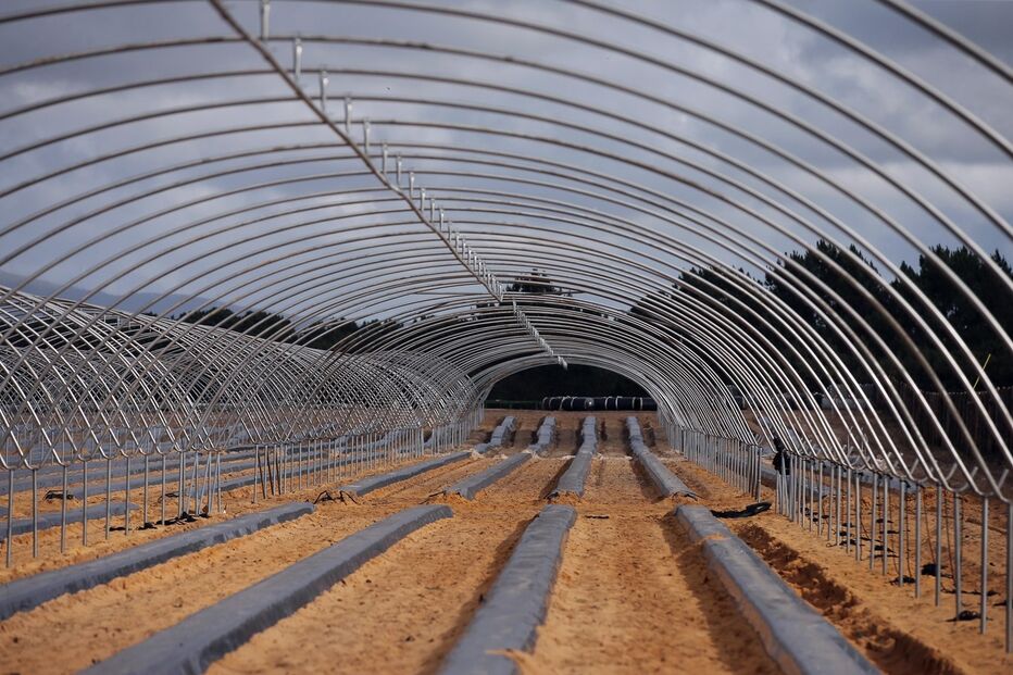 estufas, agricultura, odemira