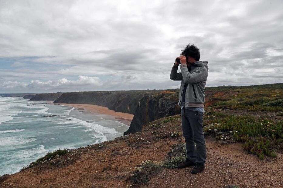 Nas arribas da Ponta da Atalaia, Aljezur, o biólogo e ambientalista, Nuno Barros, da associação ambientalista ANP/WWF, observa as cegonhas que nidificam nas arribas, numa zona do Parque Nacional do Sudoeste Alentejano e Costa Vicentina (PNSACV), que é uma área importante para as aves e onde “habitam” 700 espécies de plantas, Aljezur, 10 de maio de 2021.