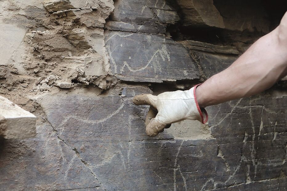Figuras gravadas em painel, em Vila Nova de Foz Côa