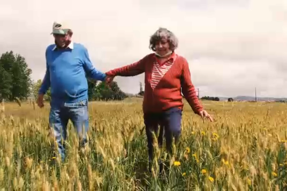 2021-05-23_13_00_09 surdos.png