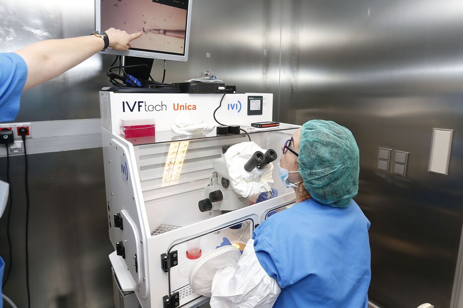 Número de mulheres solteiras e de casais a aguardar por gâmetas no âmbito das Procriação Medicamente Assistida aumentou, enquanto as doações caíram a pique