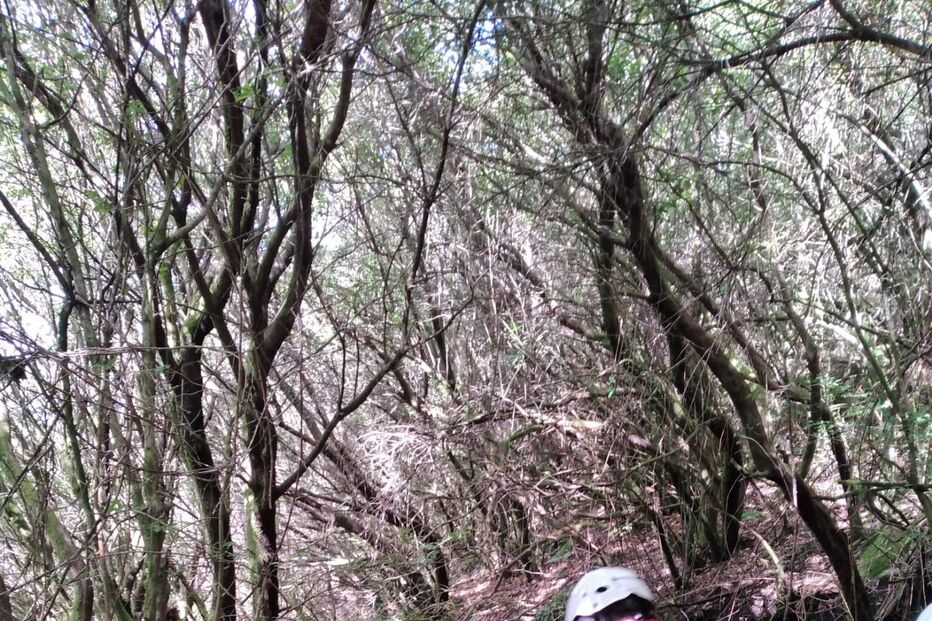 Turista ferido resgatado após queda no Gerês 