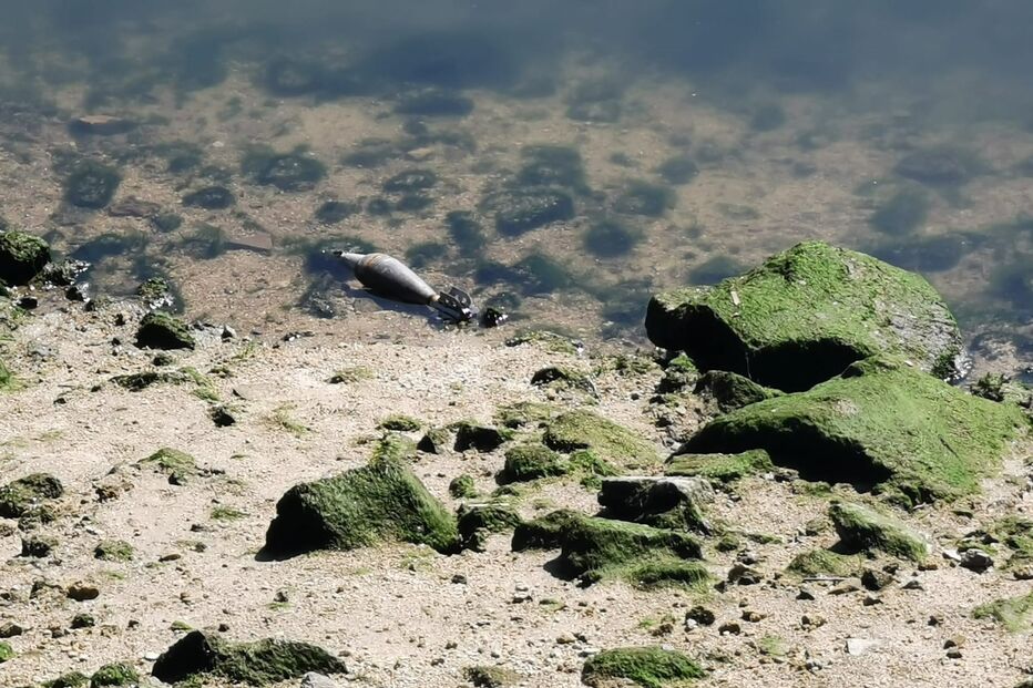 Engenhos explosivos encontrados no rio Douro em Gaia