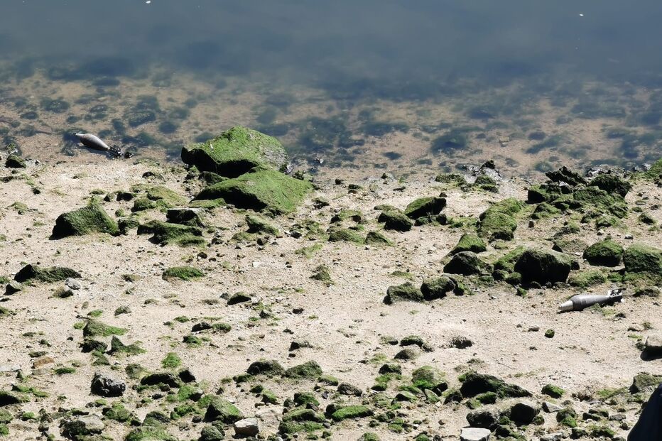 Engenhos explosivos encontrados no rio Douro em Gaia