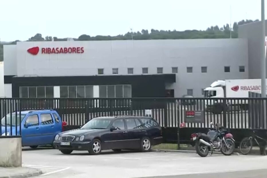 Cinco touros fugiram do matadouro e estão à solta em Tomar