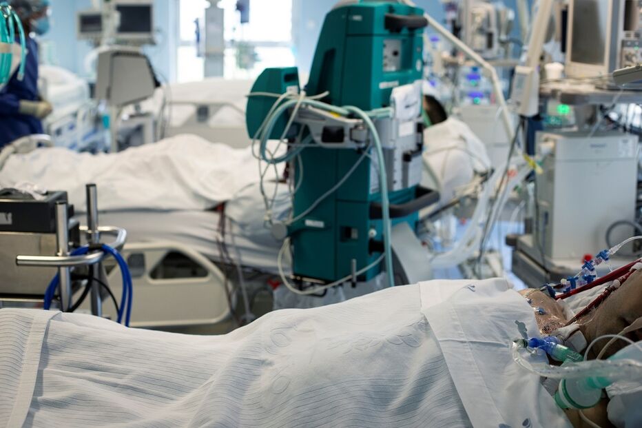 Imagem _BCO7743.JPG (10003899) (Milenium)