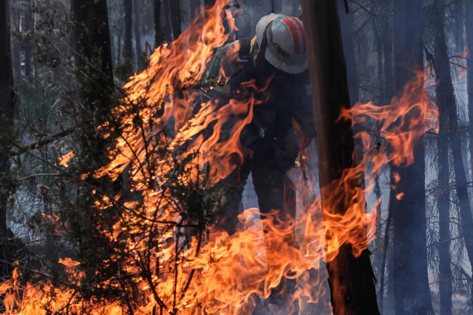 Incêndio em Pedrógão Grande deflagrou em 2017
