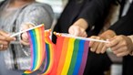 Protocolo vai reforçar capacidade das autoridades para assistência a pessoas LGBTI