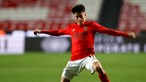 Benfica ativo no mercado de transferências