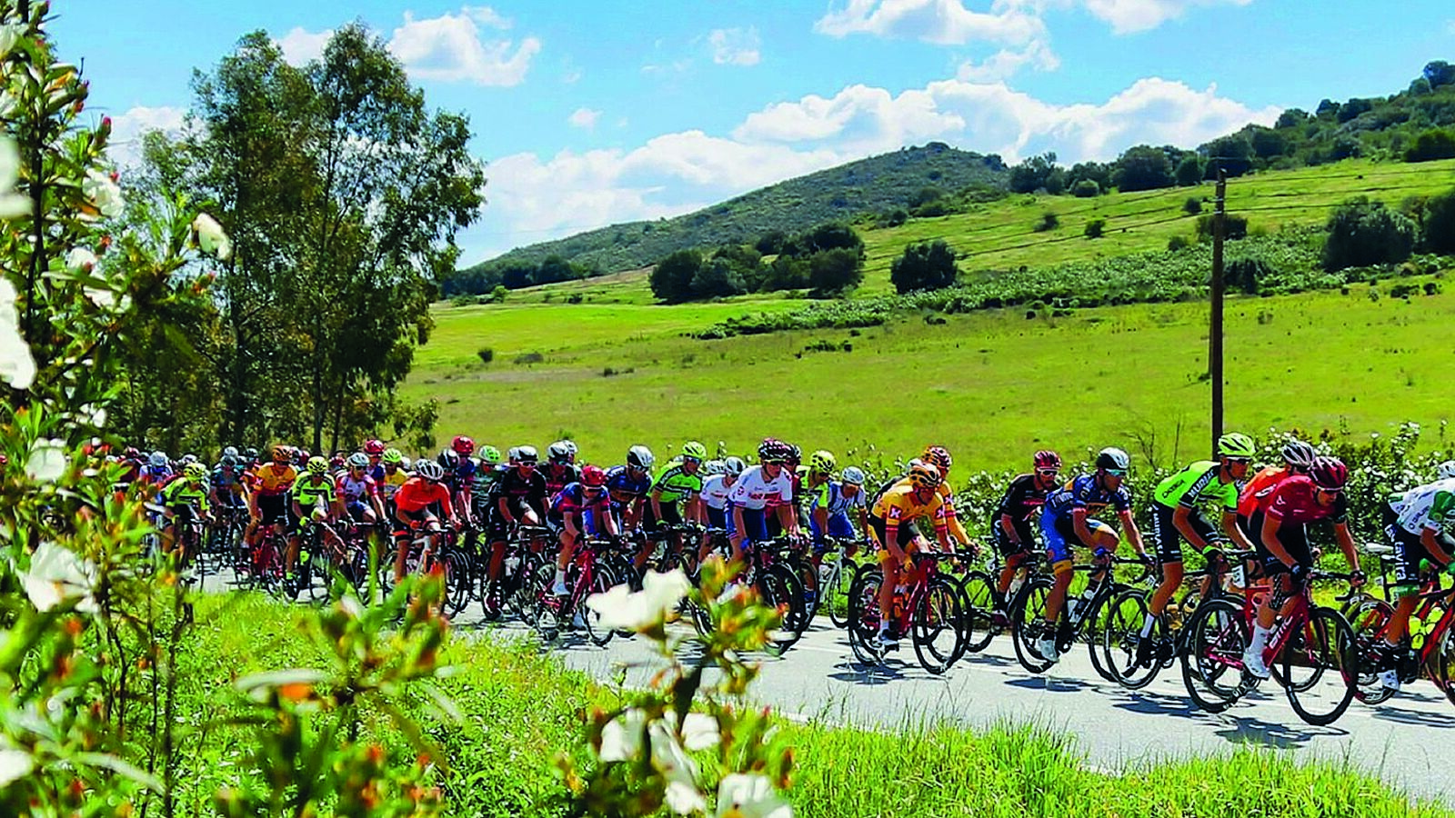 Volta ao Alentejo em bicicleta com transmissão em direto na CMTV