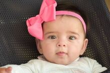 Casal tem 20 bebés num ano 