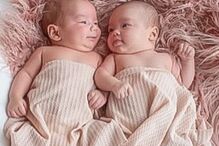 Casal tem 20 bebés num ano 