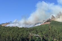 2021-06-08_17_30_17 IMG_20210608_165226.jpg