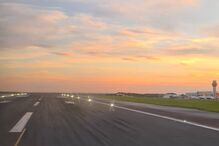 Inês Degener Tomaz apoia Bernardo Silva