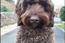 2021-06-19_14_37_43 Digby.JPG