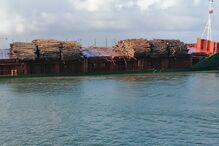 Deslizamento de carga de navio mercante à entrada da barra da Figueira da Foz