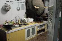 Fotografias do momento foram partilhadas nas redes sociais