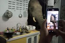 Fotografias do momento foram partilhadas nas redes sociais