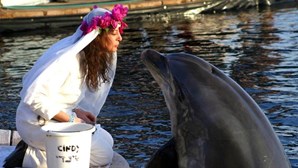 Milionária casada com golfinho está de luto há 15 anos após morte do ‘marido’