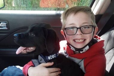 Criança vende cartas de Pokémon raras para salvar vida do seu cão