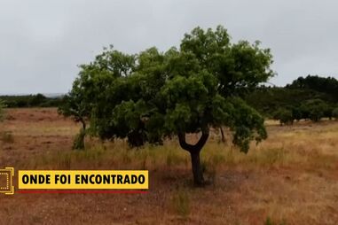 Dos locais das buscas ao sítio onde Noah foi encontrado. Imagens de drone desvendam locais-chave das 36 horas de desaparecimento