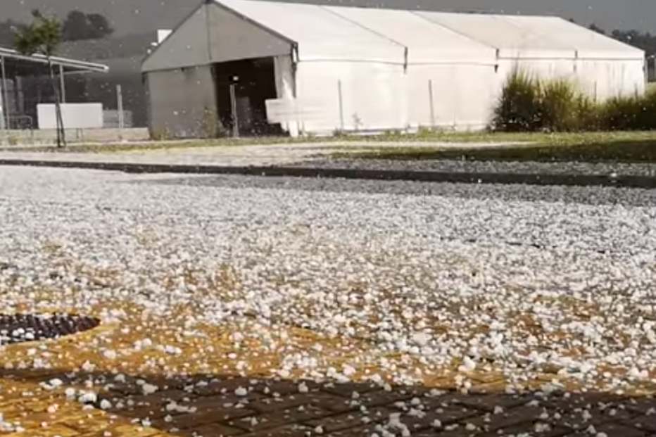 Granizo e chuva intensa fez estragos em vinhas do Douro. Veja as imagens do mau tempo 