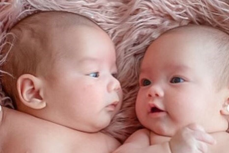 Casal tem 20 bebés num ano 