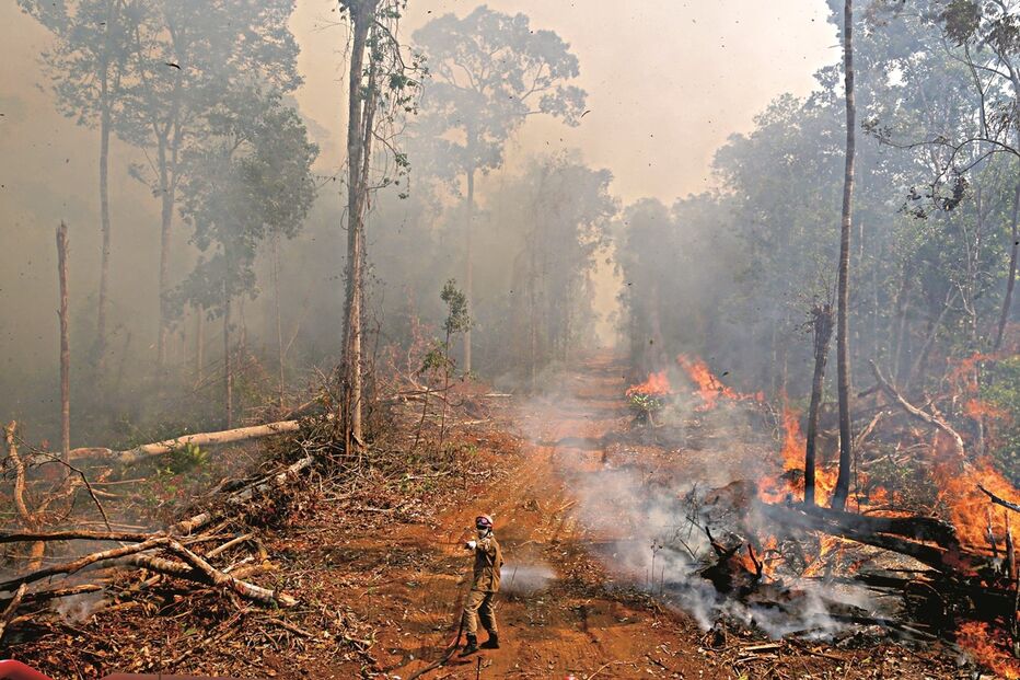 Área destruída é mais do dobro da devastada no mês anterior
