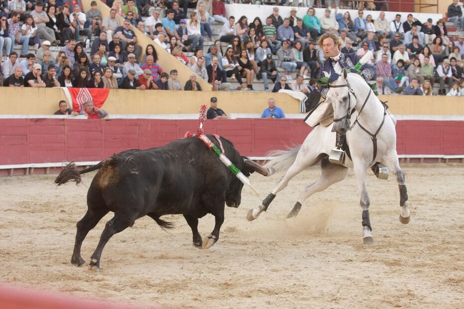 Regresso das corridas de touros a Santarém estava agendado para o próximo dia 10 de junho.
