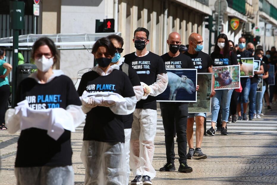 Marcha para defender direitos dos animais  