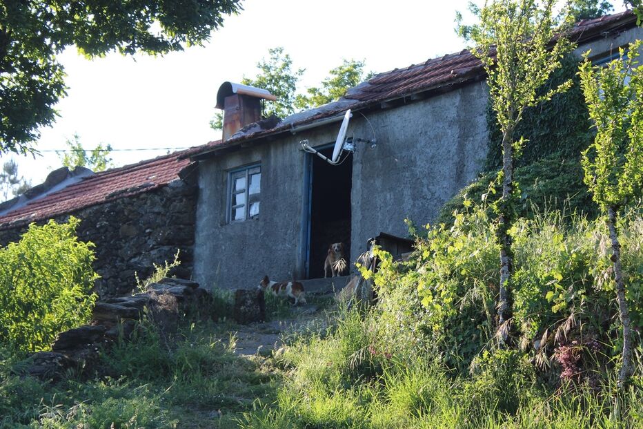 Vítima estava morta em casa, na localidade de Cerdedo, concelho de Boticas. Tinha várias lesões na cabeça
