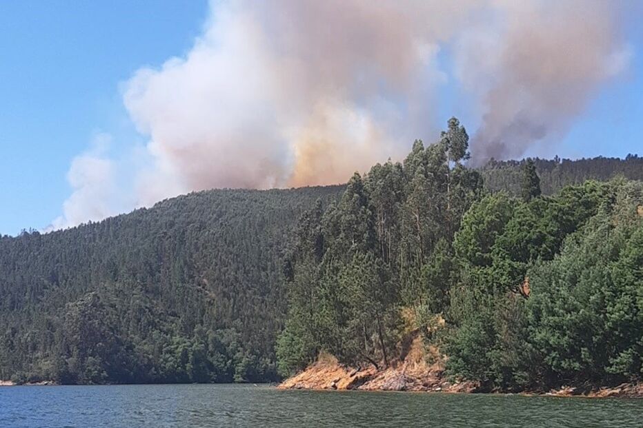 2021-06-08_16_42_24 Untitled.jpg