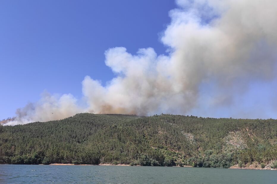 2021-06-08_16_46_43 IMG_20210608_162655.jpg