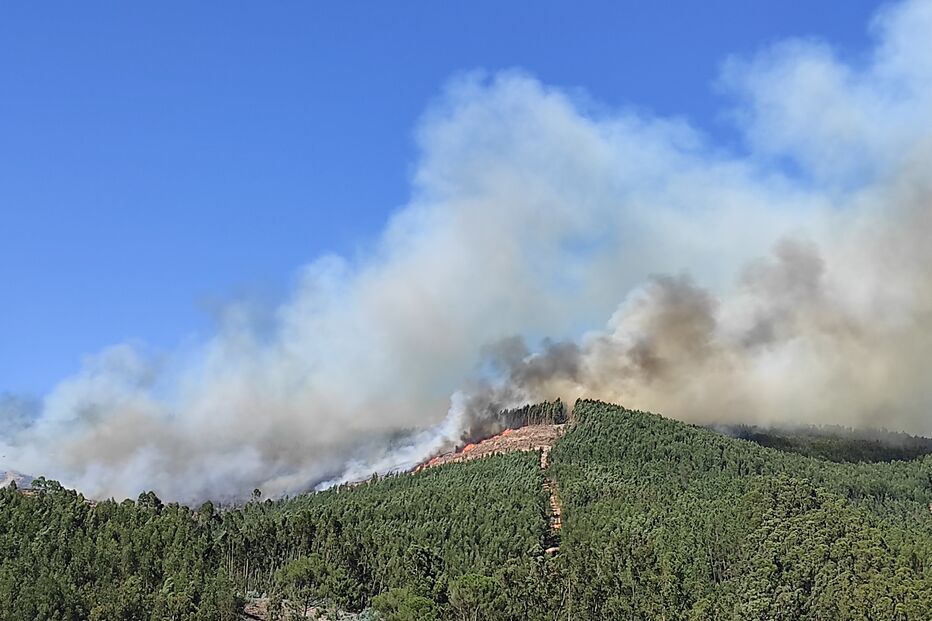 2021-06-08_17_30_21 IMG_20210608_165233.jpg