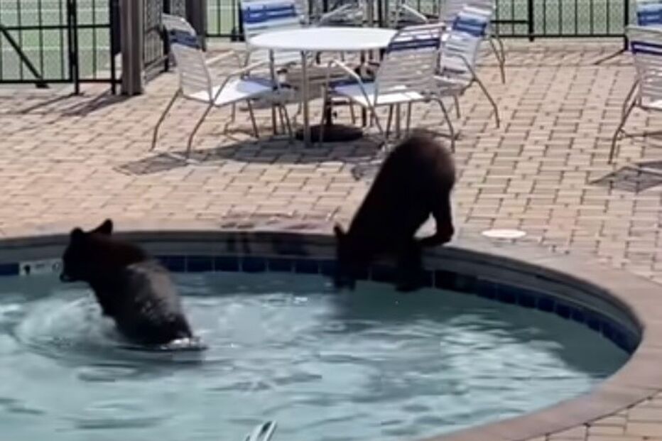 2021-06-12_08_46_53 Untitled.jpg