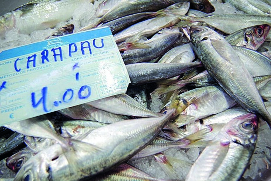 Imagem A2-11135537 (10154142).jpg (Milenium)