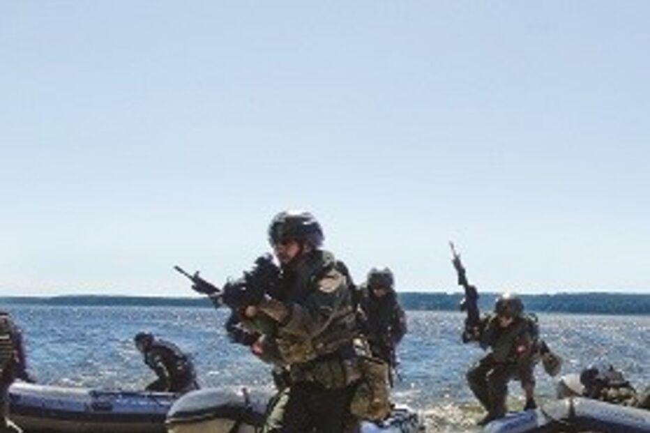 Fuzileiros em ação