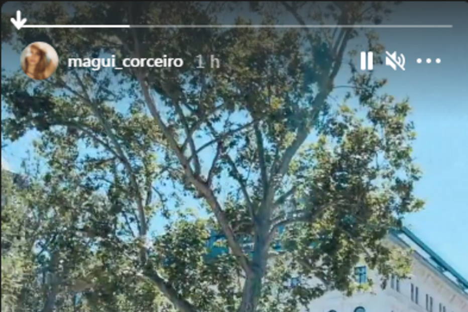 Margarida Corceiro em Budapeste