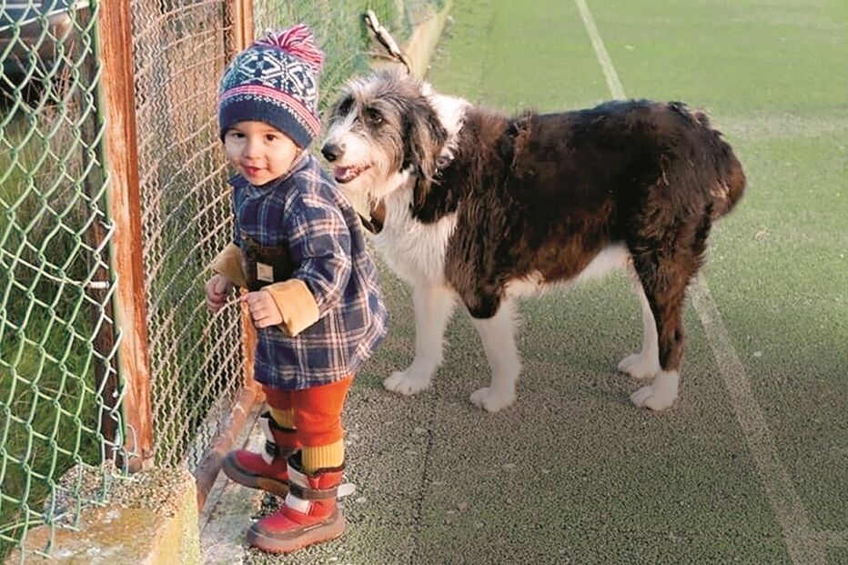 Imagem Proença-a-Velha1.jpg (10200324) (Milenium)