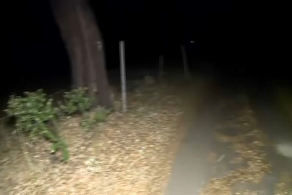 Encontrada peça de roupa durante buscas por Noah em Proença-a-Velha